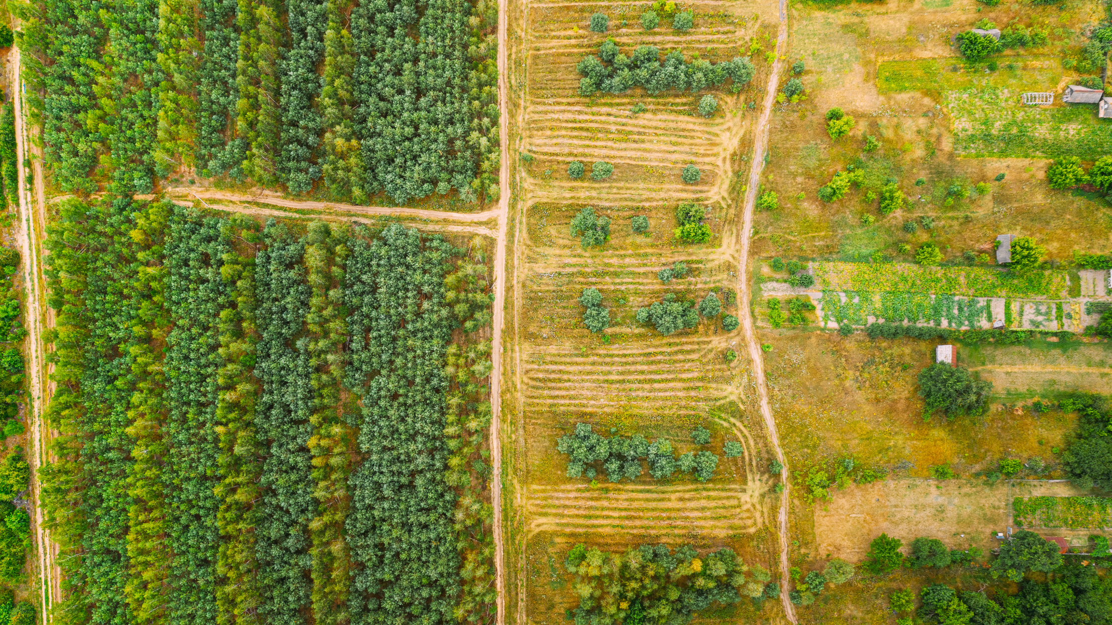 Maîtriser le règlement de l&rsquo;Union Européenne sur la déforestation (EUDR) : Comment MyTower peut aider votre entreprise à rester conforme